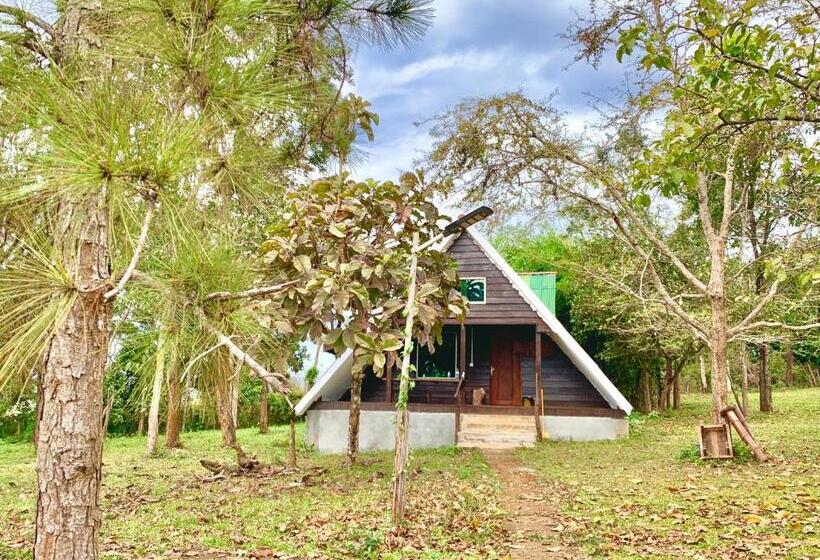 بنجلو عائلى, Nature Lodge