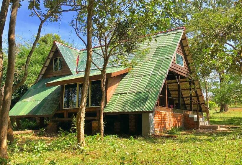 بنجلو عائلى, Nature Lodge