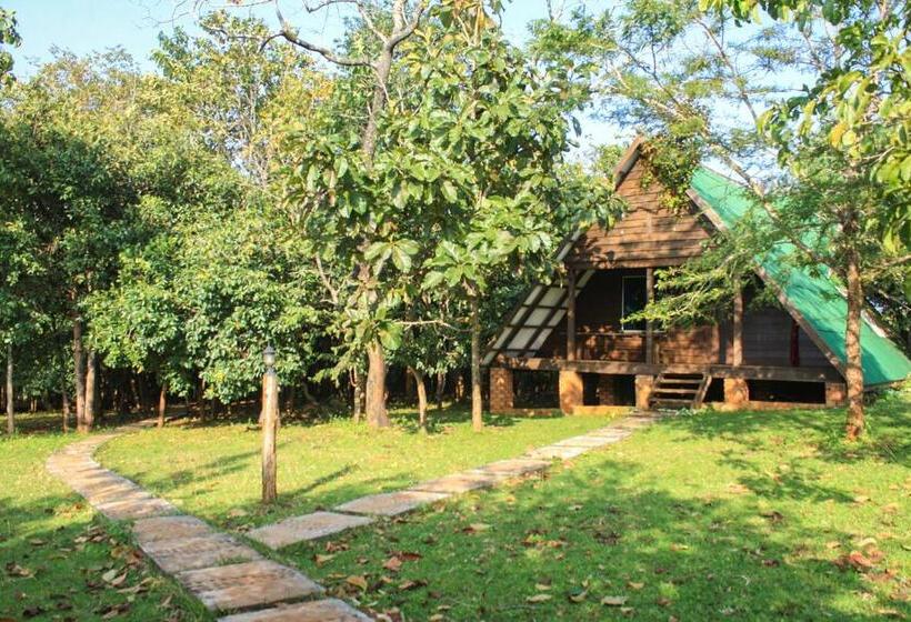 Семейное Бунгало, Nature Lodge