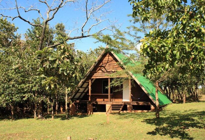 بنجلو عائلى, Nature Lodge