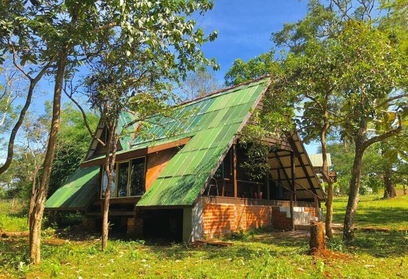 بنجلو عائلى, Nature Lodge