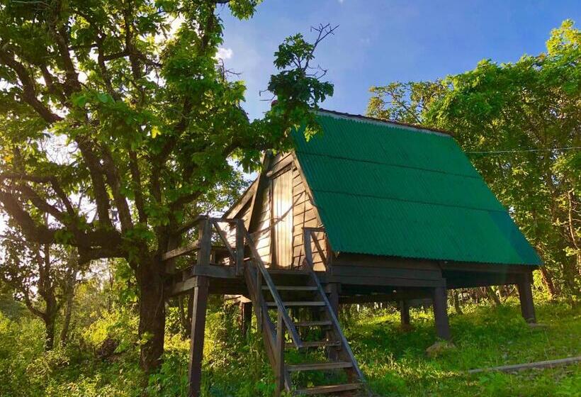 بنجلو قياسى, Nature Lodge