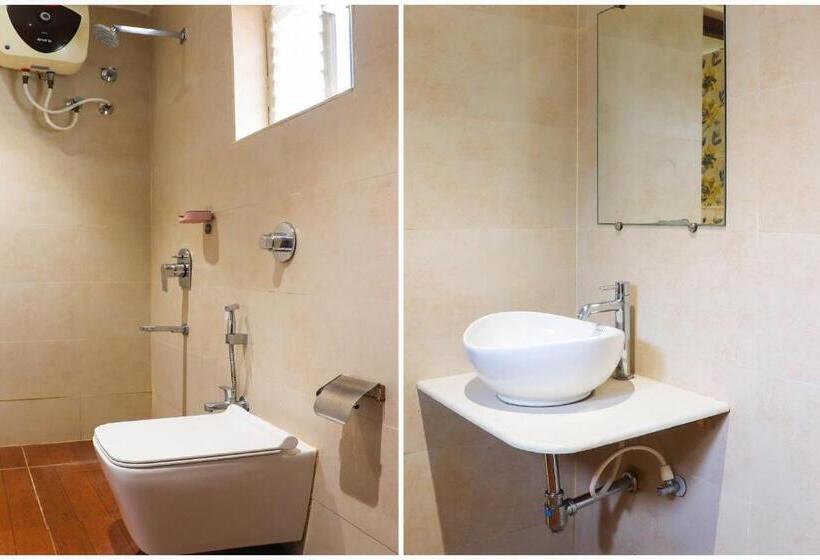 Номер Стандарт, Collection O Kk Trends