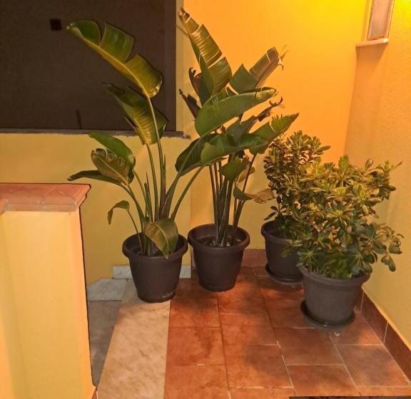 싱글 기본룸, Bbcamere Policlinico