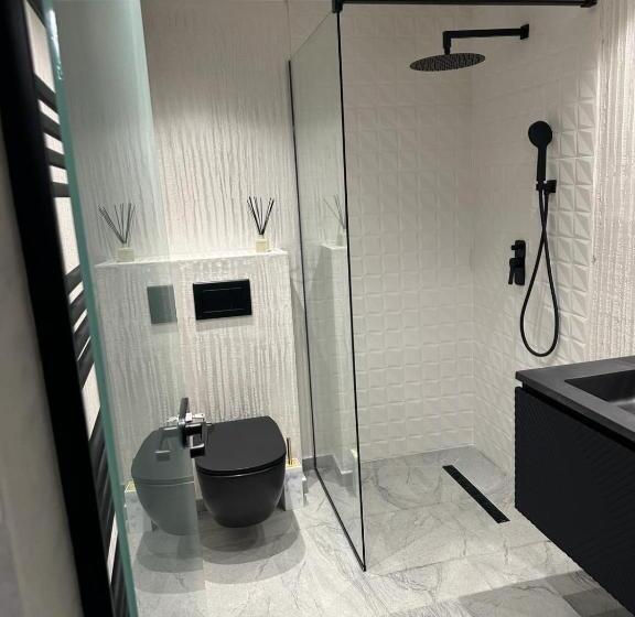 带阳台的豪华间, Pensiunea Izvoare Olanesti 3