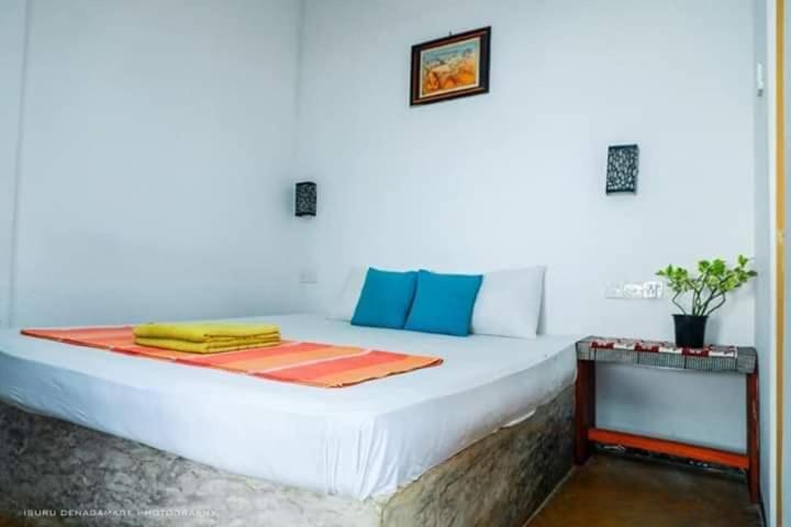 带海景的标准房, Ocean Rock Beach House