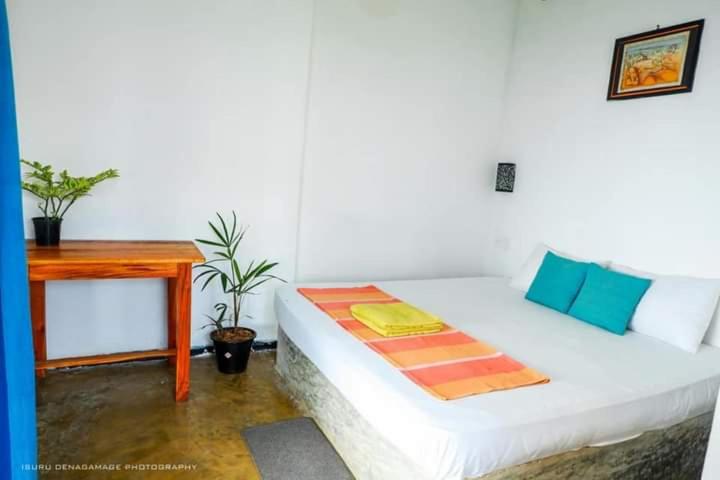 带海景的标准房, Ocean Rock Beach House