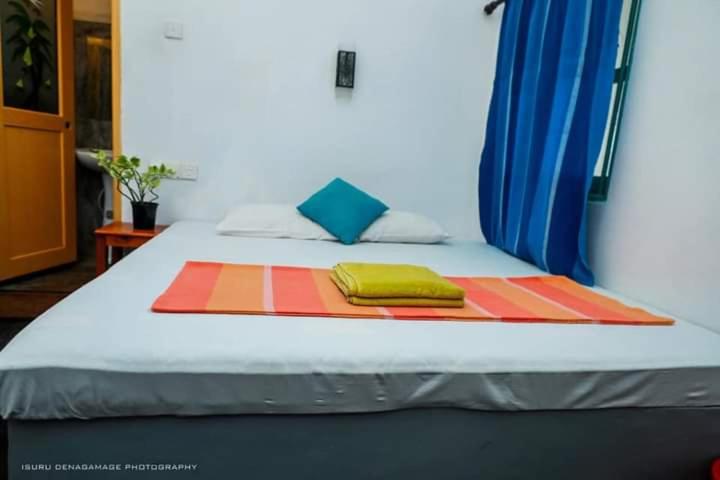 经济房, Ocean Rock Beach House