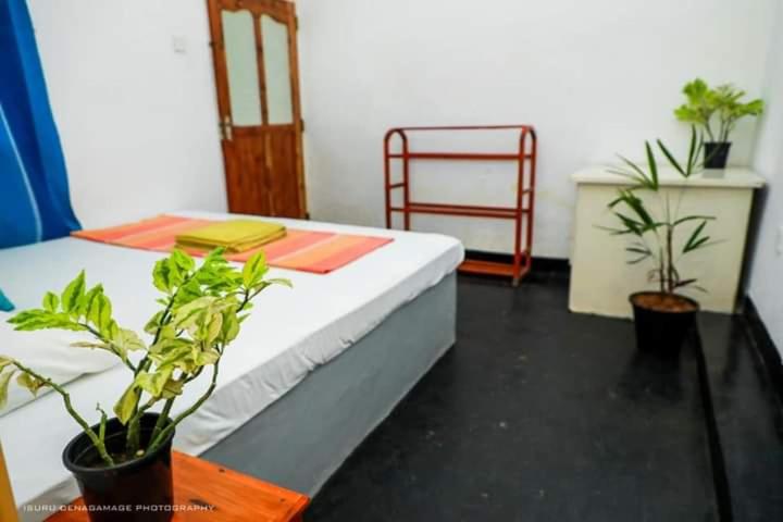 经济房, Ocean Rock Beach House