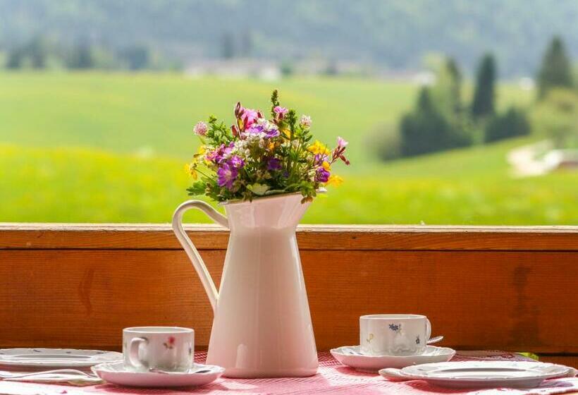 バルコニー付き１ベッドルームアパートメント, Weissenhof  Chiemgau Karte