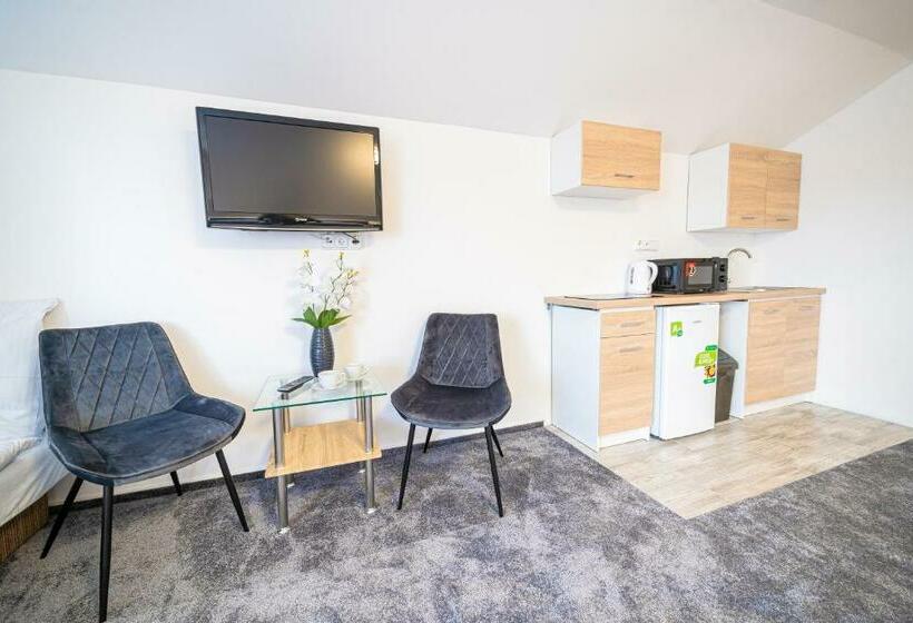 شقة غرفة واحدة, Penzión čikovský