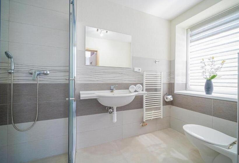 غرفة قياسية مطلّة علي الحديقة, Penzión čikovský