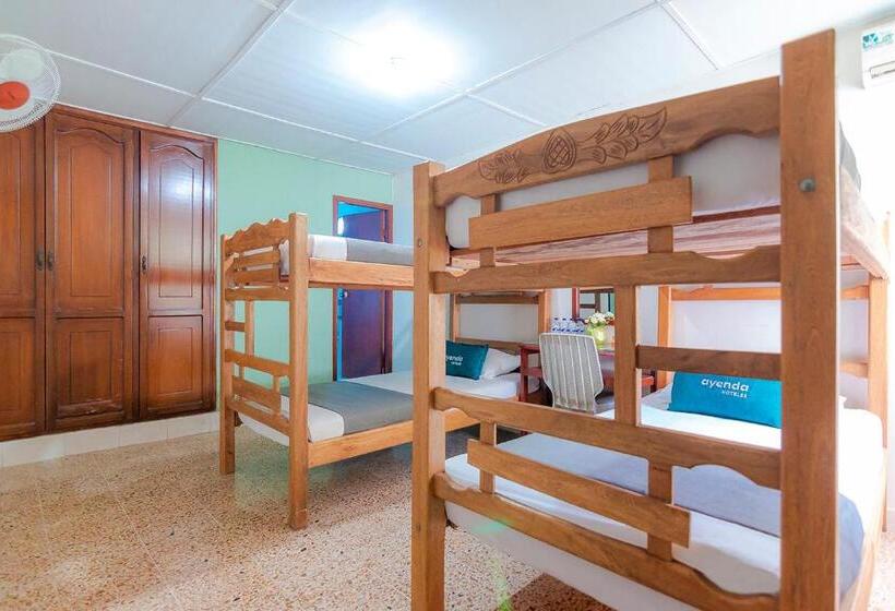 اتاق استاندارد چهار تخته, Ayenda Jimatta