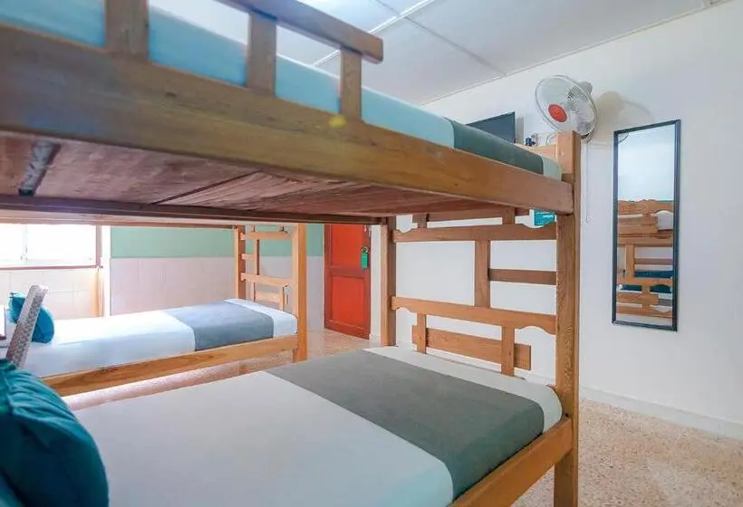 اتاق استاندارد چهار تخته, Casa Hotel Jimatta