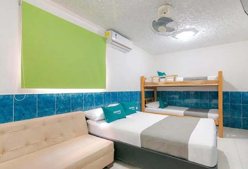 اتاق استاندارد چهار تخته, Casa Hotel Jimatta
