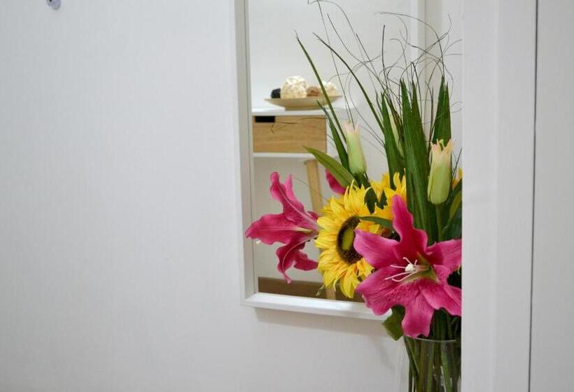 آپارتمان سوپریور 1 خوابه, Piccolo Borgo Antico