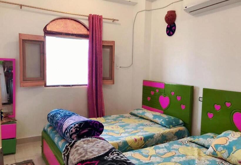 اتاق استاندارد با چشم‌انداز دریا, Nile View Rana Nubian Guest Houes