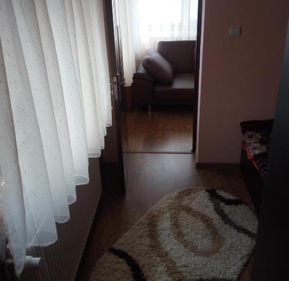 اتاق خانوادگی, Casa Alex
