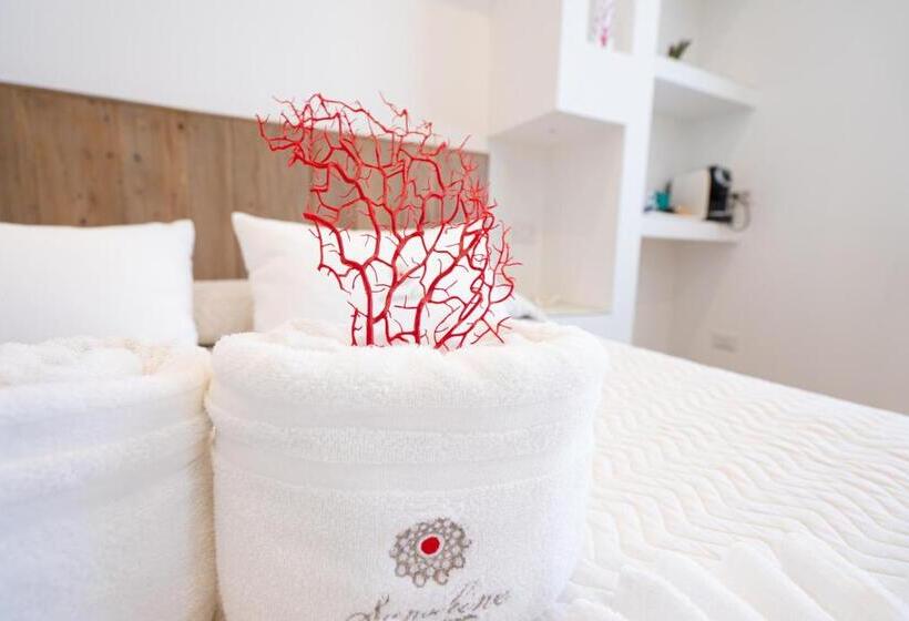 スタンダードルーム, Sunshine Charming Houses