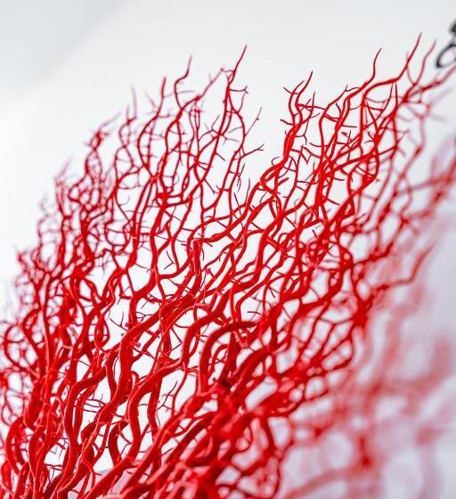 スタンダードルーム, Sunshine Charming Houses