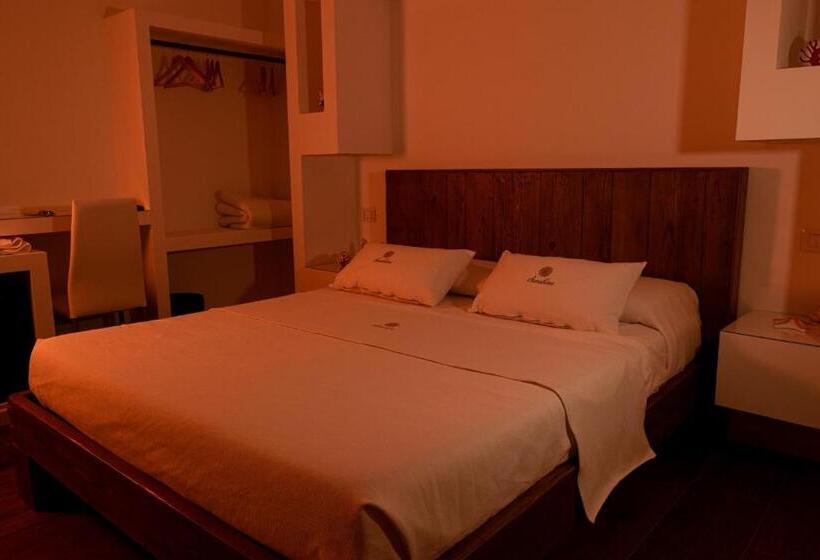 スタンダードルーム, Sunshine Charming Houses