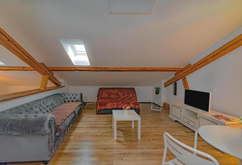 스탠다드 룸 킹사이즈 침대, Rezidence Znojmo