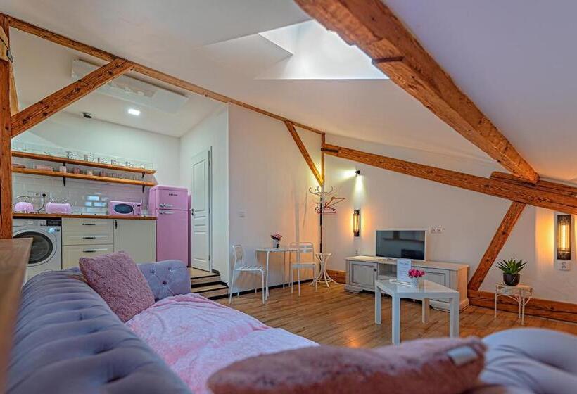 스탠다드 룸, Rezidence Znojmo