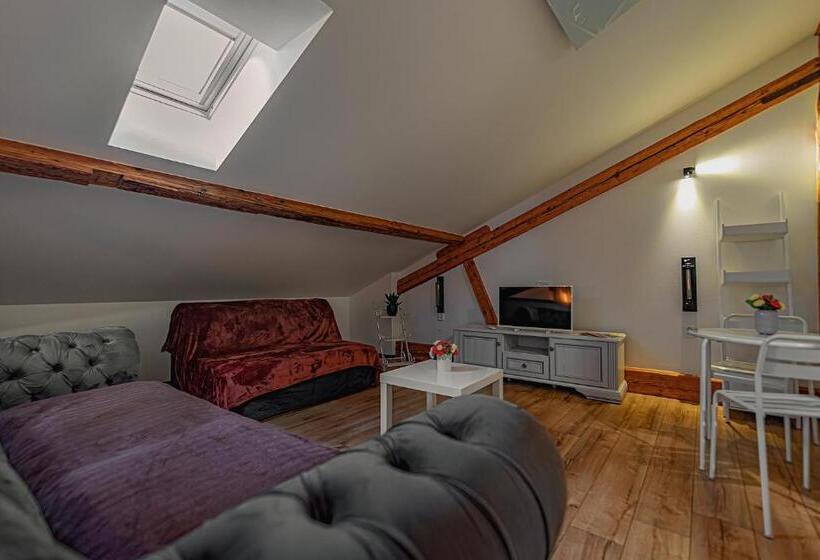 스탠다드 룸 킹사이즈 침대, Rezidence Znojmo