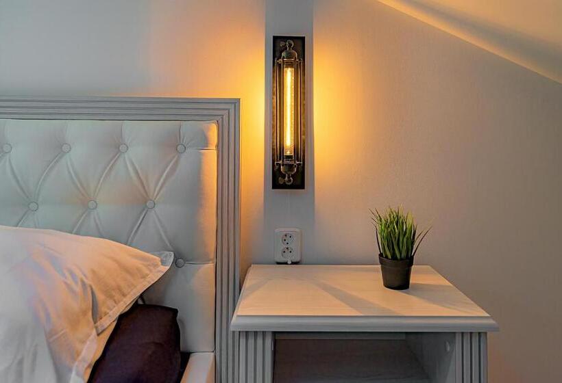 스탠다드 룸 킹사이즈 침대, Rezidence Znojmo