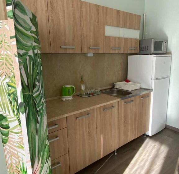 Апартаменты Deluxe 1 Спальня, Platán Apartmanház