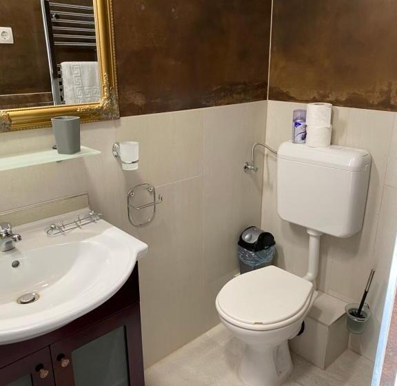 带1个卧室的公寓, Platán Apartmanház