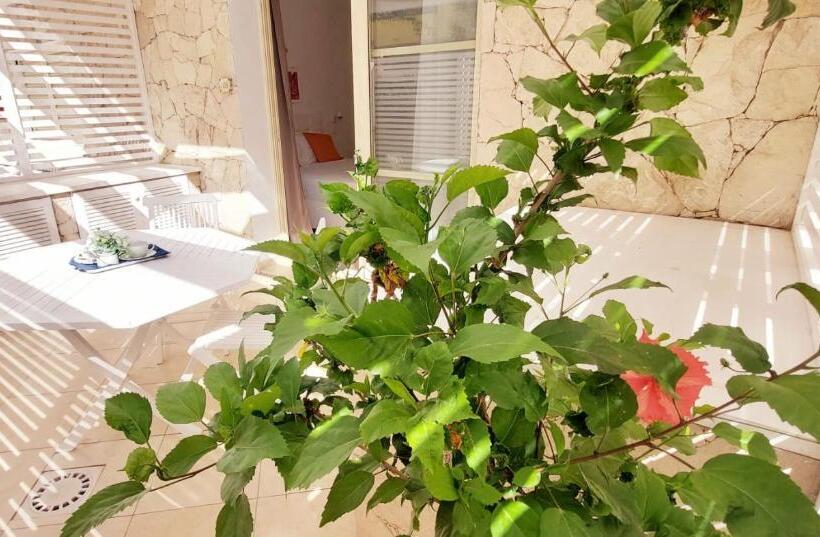 اتاق استاندارد اینتریور, Branco Suites Rooms & Holiday Apartments