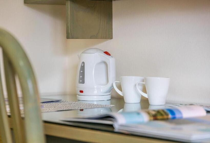 スタンダードルーム, Aviano Palace