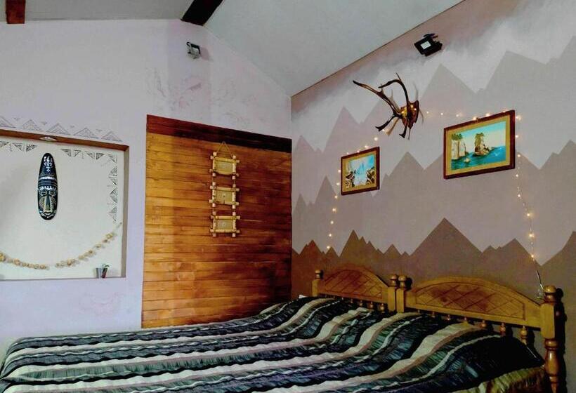 スタンダードスタジオ, Calipso