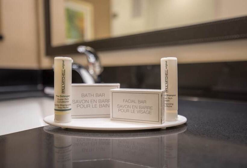 إستوديو قياسى, Fairfield Inn & Suites By Marriott Twin Falls