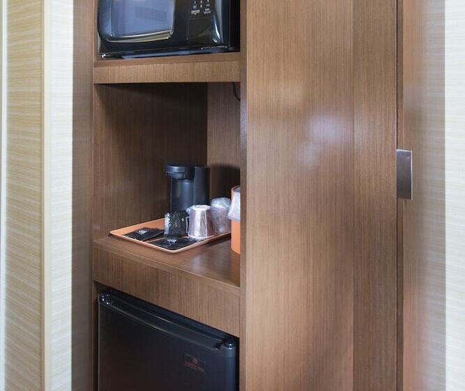 إستوديو قياسى, Fairfield Inn & Suites By Marriott Twin Falls