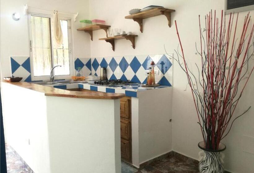 Apartamento 2 Dormitórios, House Jardin Del Caribe