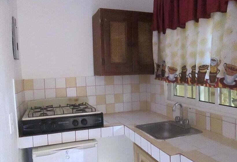 آپارتمان لوکس 1 خوابه, House Jardin Del Caribe