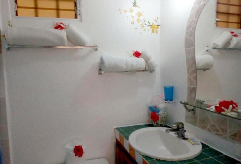 آپارتمان لوکس 1 خوابه, House Jardin Del Caribe