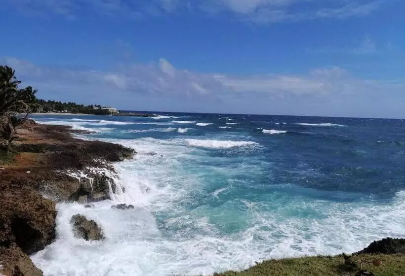اتاق استاندارد با چشم‌انداز باغ, House Jardin Del Caribe