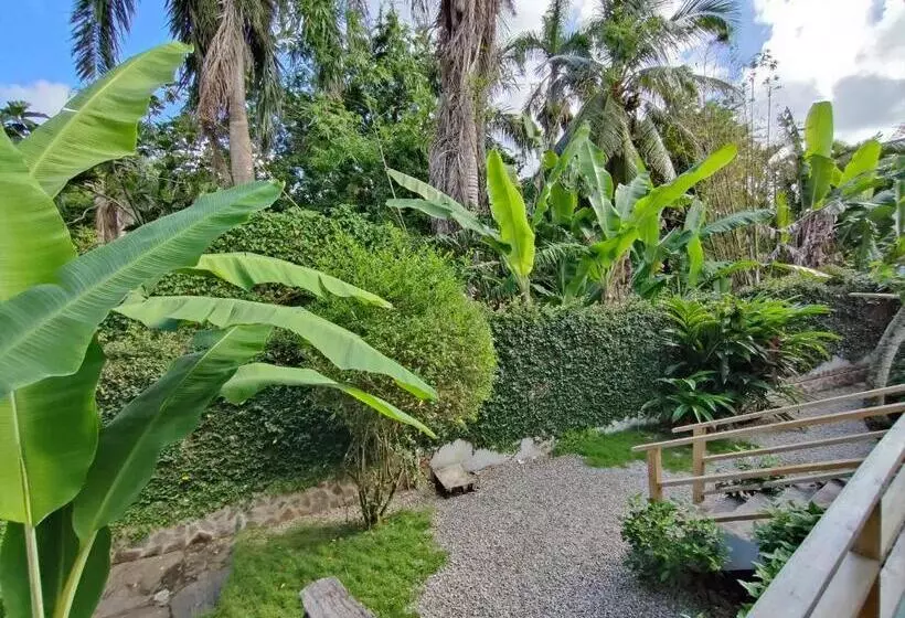 اتاق استاندارد با چشم‌انداز باغ, House Jardin Del Caribe
