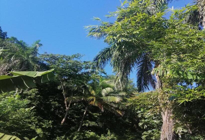 اتاق لوکس, House Jardin Del Caribe