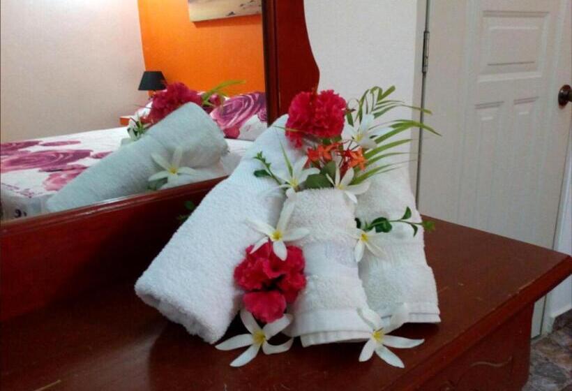 آپارتمان 2 خوابه, House Jardin Del Caribe