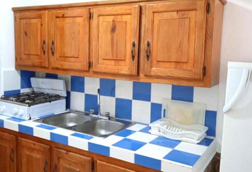 آپارتمان 1 خوابه همکف, House Jardin Del Caribe