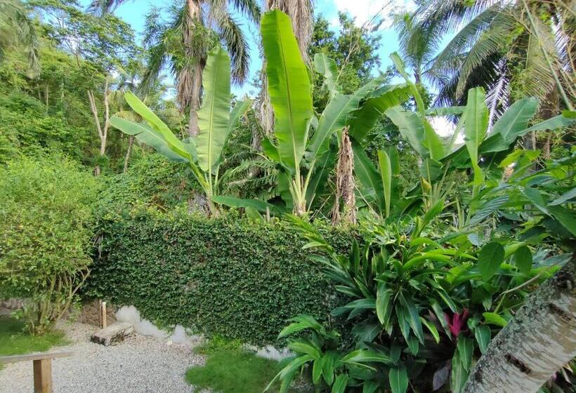 اتاق لوکس, House Jardin Del Caribe