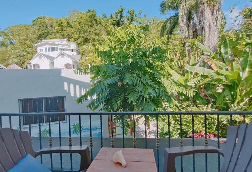 Apartamento 2 Dormitórios, House Jardin Del Caribe