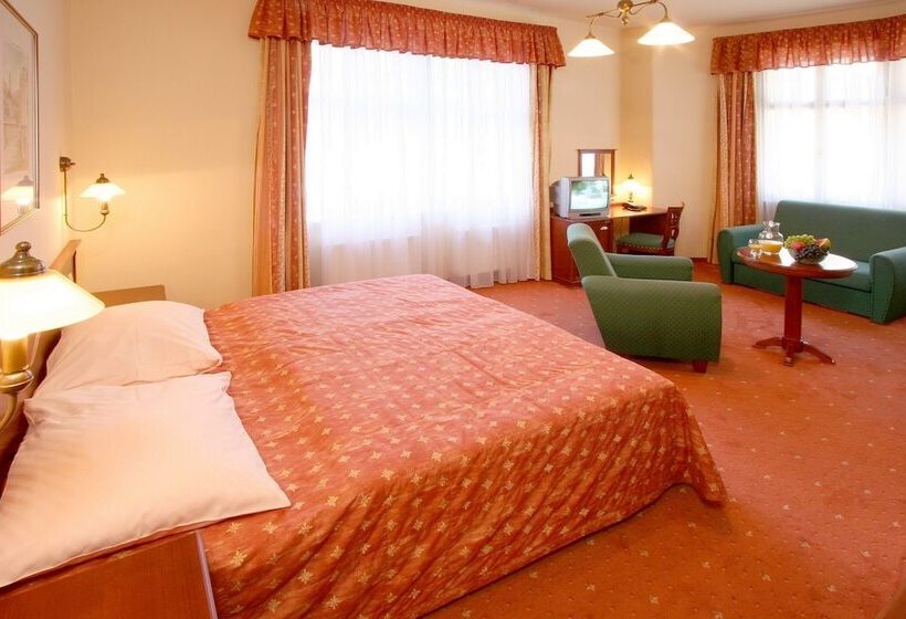 חדר דלוקס, Lázeňská Léčebna Mánes