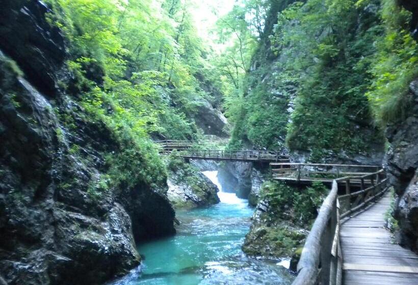 آپارتمان 1 خوابه, Apartma žvan