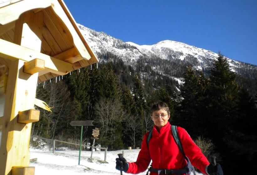 آپارتمان 1 خوابه, Apartma žvan