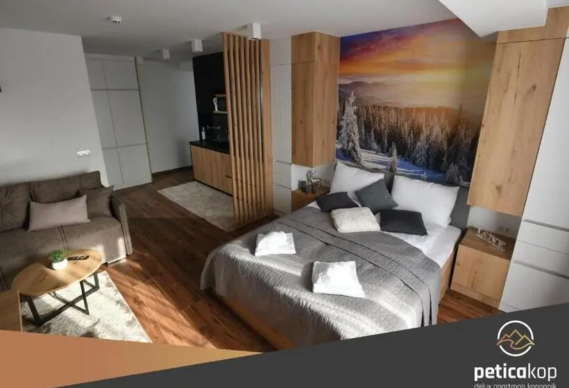 استودیو استاندارد با تخت کینگ, Apartman Petica Kop A8 Kopaonik